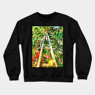 Apple Orchard Crewneck Sweatshirt
